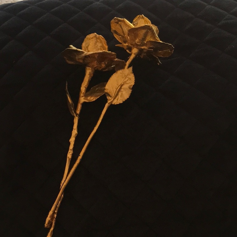 Two 24k Gold Dipped Roses (2) - image 2